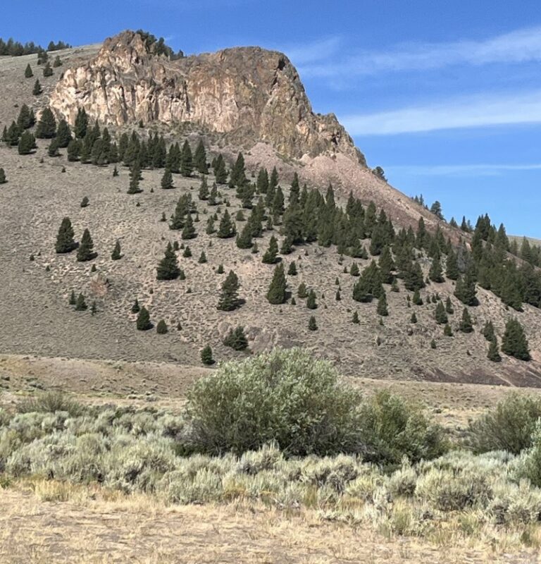 Photo of Historic and potential renewed mining area. Idaho