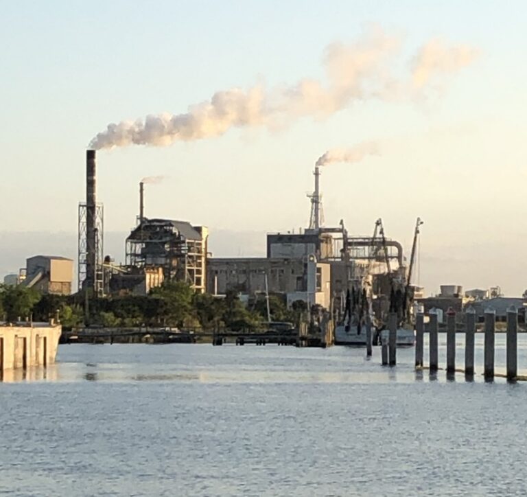 Pulp and Paper Plant - Florida